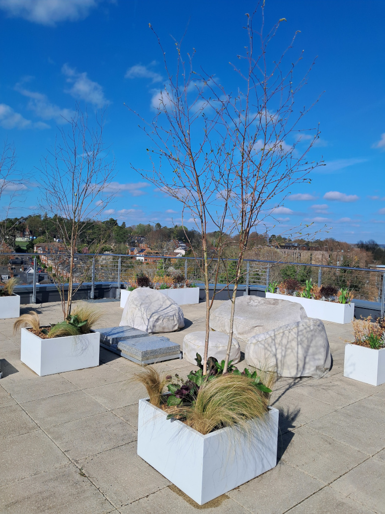Picture of the roof garden just after refurb